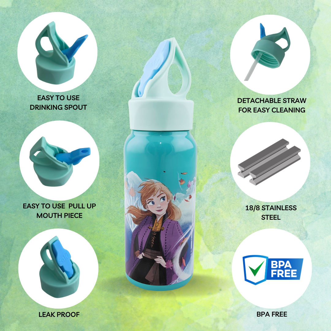 Disney Frozen 2 Kids Water Drinking Bottle, Made of Plastic, Leak