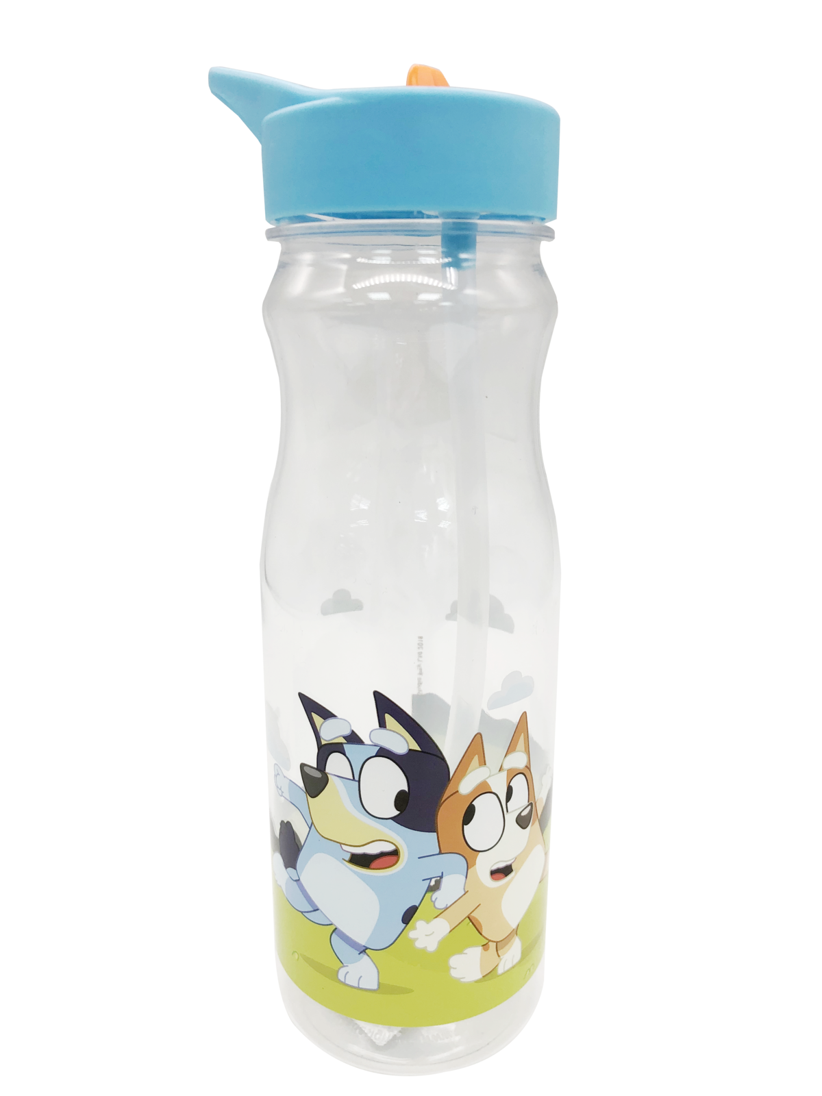 Bluey Water Bottle Labels
