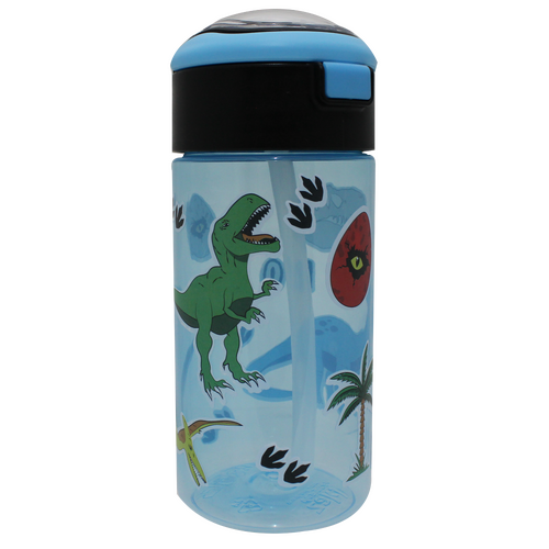 532mL Personalised Bottle - Dinosaur