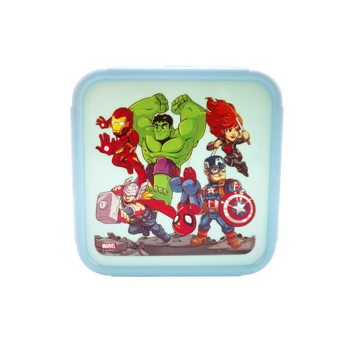 Avengers Sandwich Container