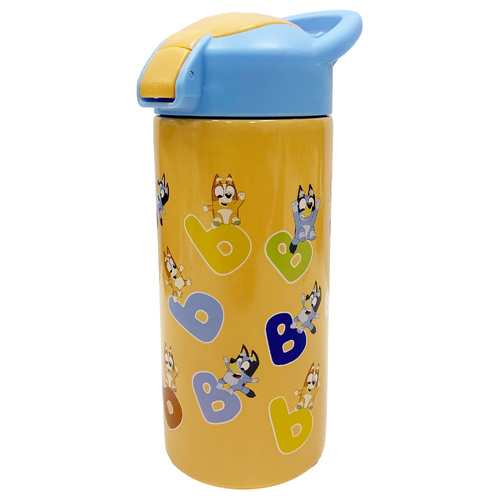 Bluey 577ml Vector Stainless Steel Bottle