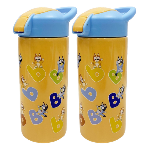 Bluey 577ml Vector Stainless Steel Bottle - 2 Pack