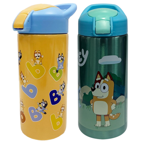 Bluey 577ml Vector Stainless Steel Bottle - 2 Pack