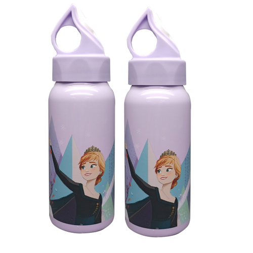 Frozen 2 Stainless Steel Bottle - 2 Pack