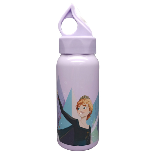 Frozen 2 Stainless Steel Bottle 