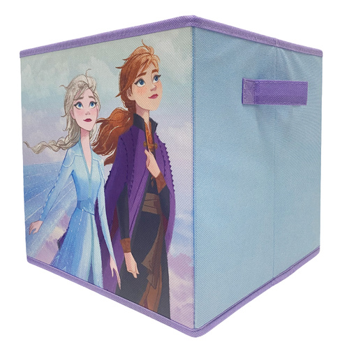 Frozen Foldable Storage Cube