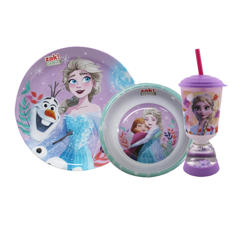 Frozen Birthday Party 6 pack