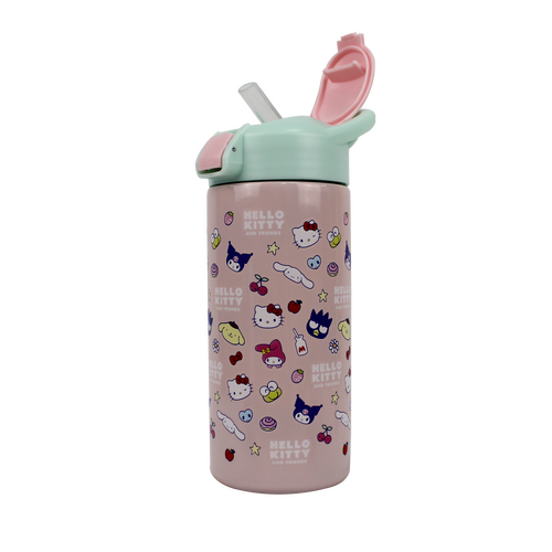 Hello Kitty 577ml Vector Stainless Steel Bottle