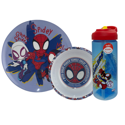 Spiderman Birthday Party 6 pack