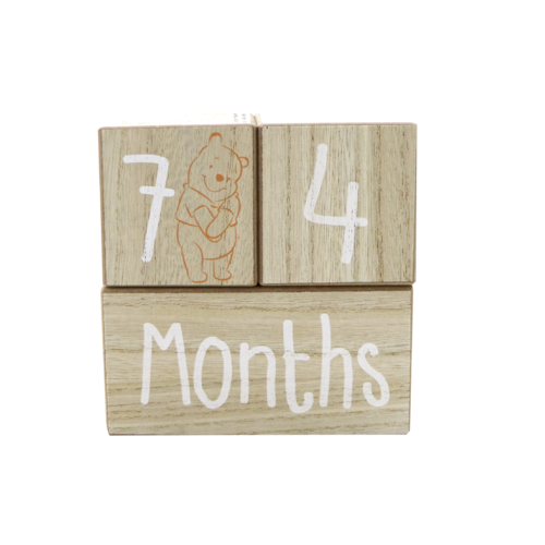 Winnie the Pooh Milestone Blocks - Pooh